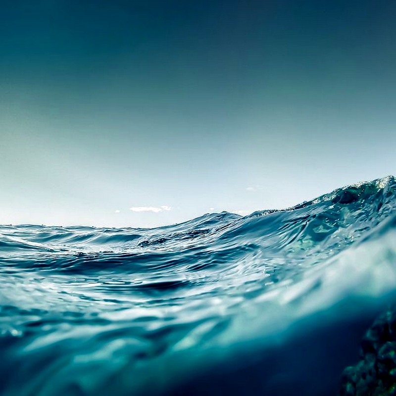 Какие виды океанов существуют?