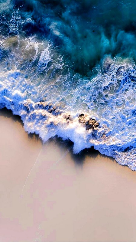 Какие виды океанов существуют?