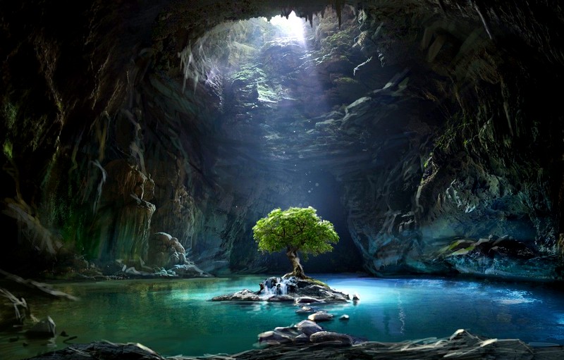 Какие меры принимаются для охраны природы и животных?