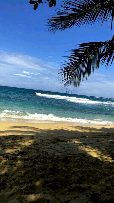 Какие отели в Доминикане предлагают детские анимационные программы?